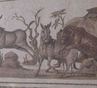 Mosaik Museum in El Djem