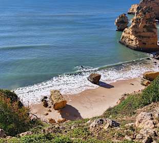 Seven Hanging Valleys Trail 