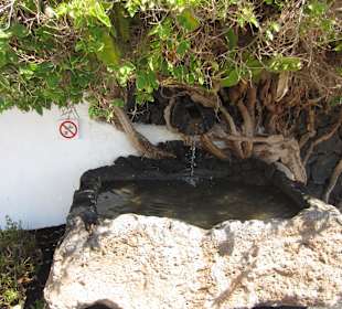 Impression der Fundacion