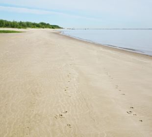 Am Strand der Insel Krautsand