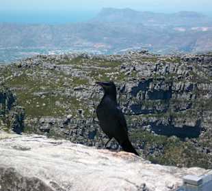 Blick zur anderen Seite