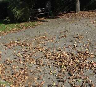 Friedhof Göttelfingen