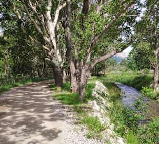 Weg nach Batomalj