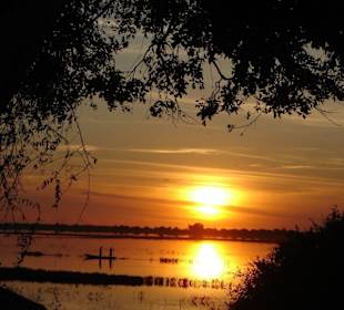 Sonnenuntergang am Chobe River