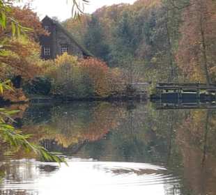 Der schöne Mühlenteich
