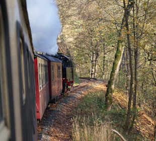 Wandern Alexisbad
