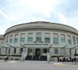 Mit dem Hop on Hop off Bus in Auckland unterwegs