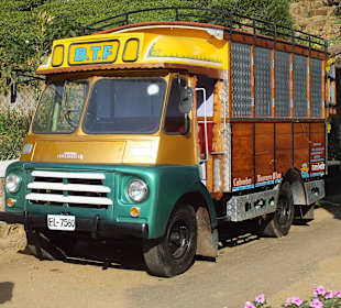 Oldtimer auf Tee-Plantage