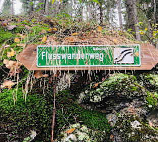 Wandern Rabenstein-Bodenmais
