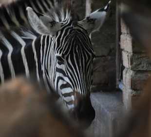 Tierpark Hamm 