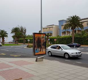 Relaxia Jandia Luz Apartments