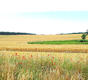 Wanderung Halbinsel Gnitz