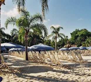 Liegefäche gibt es genug im Park