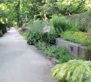 Real Jardín Botánico