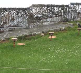 Burgruine Hohenneuffen