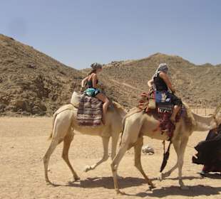 Kamelreiten auf der Quadtour
