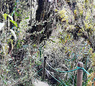 Rundweg „La Isla“ Path