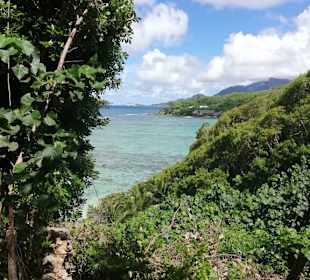 Ausblick auf das Korallenriff