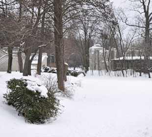 Krajobraz Łazienek Królewskich