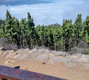 Wald, Wolken, Teide