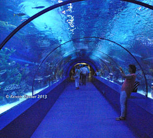 Aquarium-Tunnelgang 131m lang