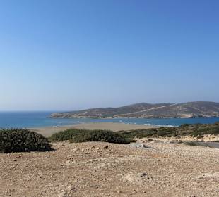 Prasonissi