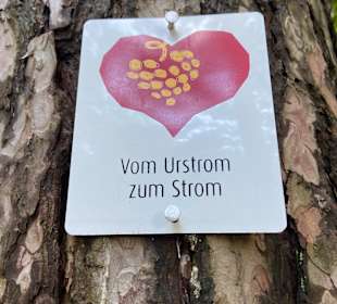 Wandern Bernkastel-Kues