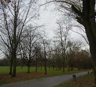 Grüneburgpark