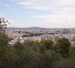 Blick auf Palma