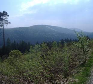 Schwarzwaldlandschaft