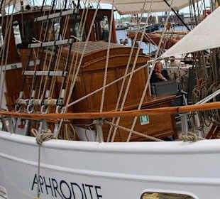 Traditionssegler im Kieler Hafen