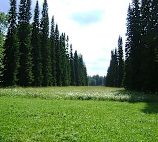 Zespół pałacowy Oranienbaum