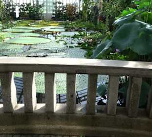 Gewächshäuser Botanischer Garten