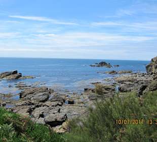 Lizard Point
