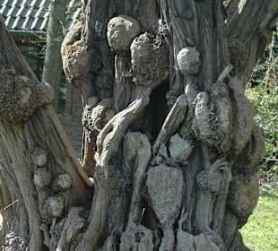 Zoo Krefeld