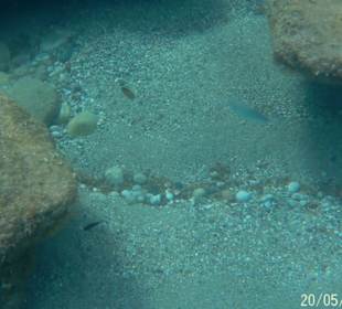 Schnorcheln Faliraki