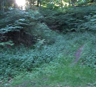 Burgruine Andeck Talheim