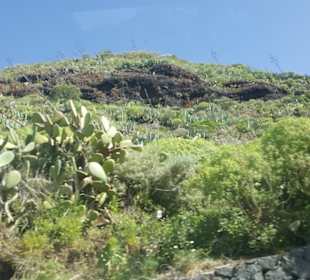 Mirador de Baracan in Buenavista del Norte