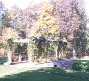 Unterer äußerer Park - Palastanlage Peterhof