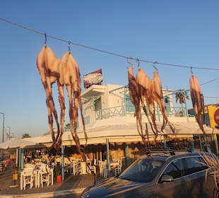 Fischrestaurant Taverna Kalymnos (Brasosca)