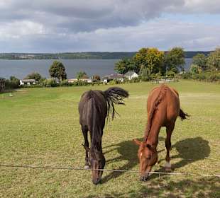 Wandern Groß Nemerow