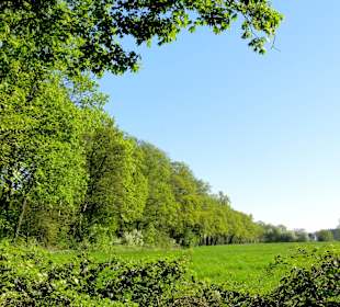 Impressionen aus dem Park Höpkensruh