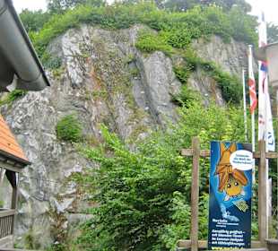 Noctalis-Zentrum