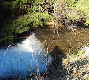 Wandern Zella-Mehlis