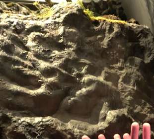 Naturparkzentrum Ruhestein