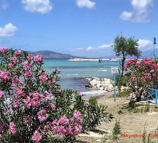 Blick auf den Strand
