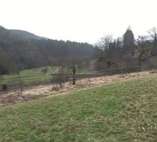 Unterjesinger Wengertwegle