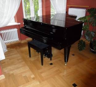 Muzeum Henryka Sienkiewicza Oblęgorek