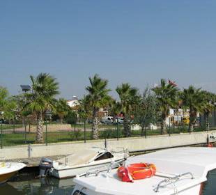 Blick nach Hafen
