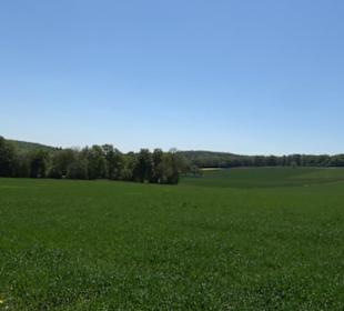 Wanderparkplatz Breitelteich